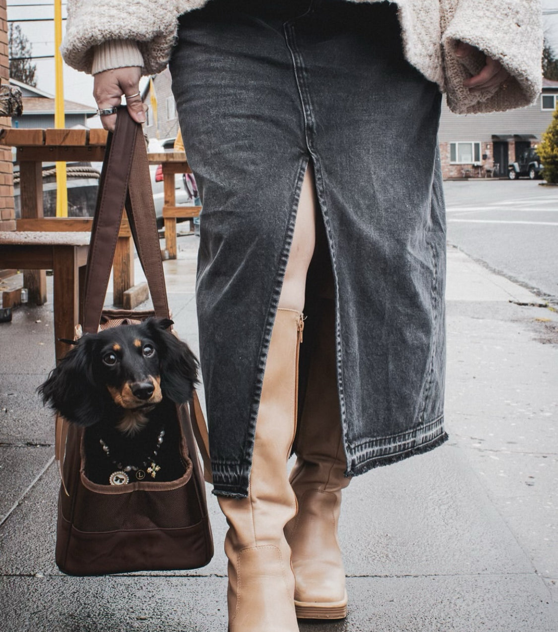 Chocolate Brown Pet Tote Bag